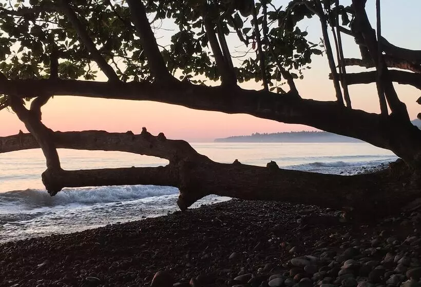 Devi's Place Tejakula