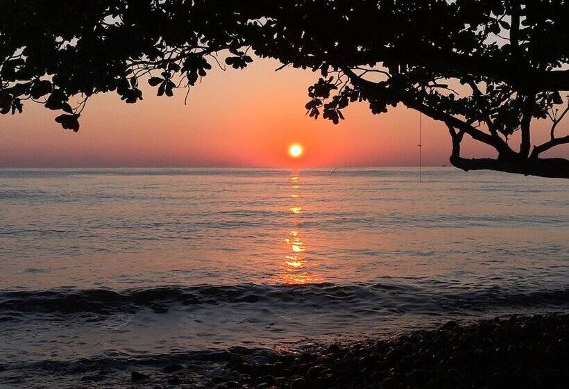 Devi's Place Tejakula