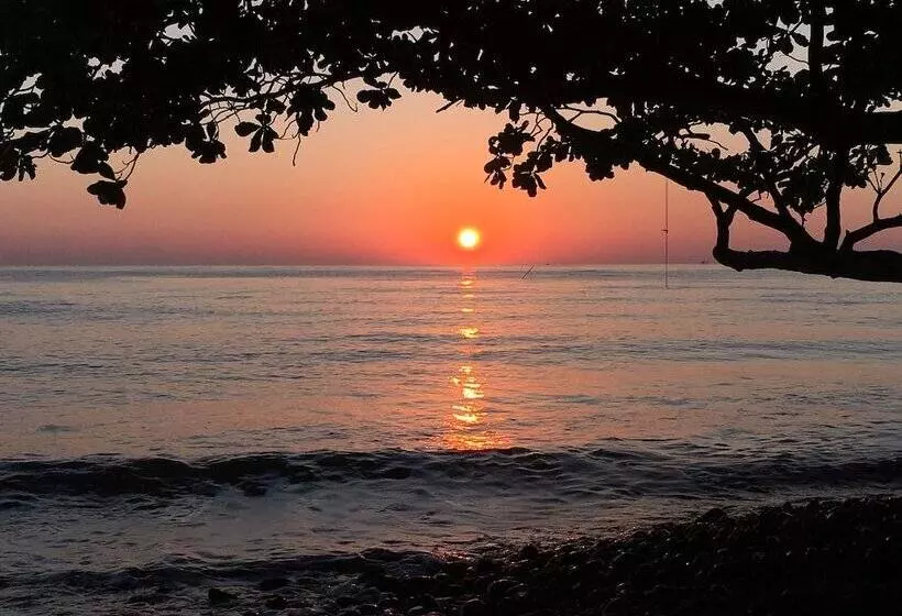 Devi's Place Tejakula