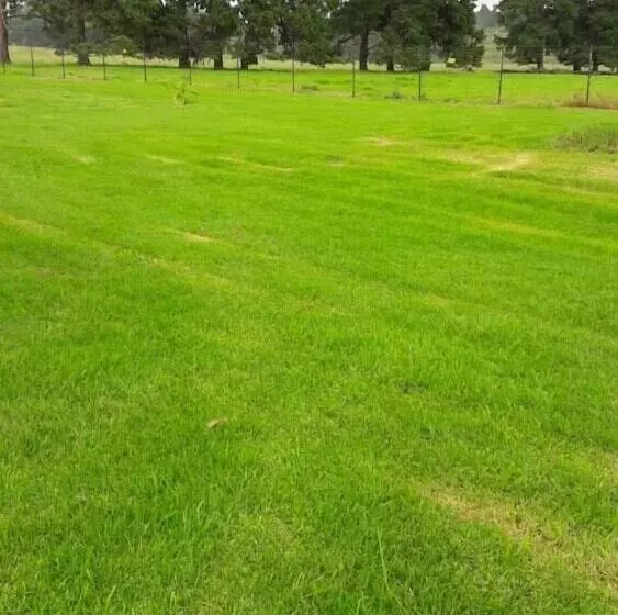 Hotelli Hoyo Hoyo Machadostud Lodge