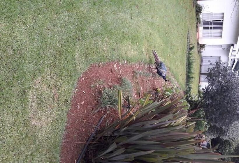 בית מלון כפרי Hoyo Hoyo Machadostud Lodge