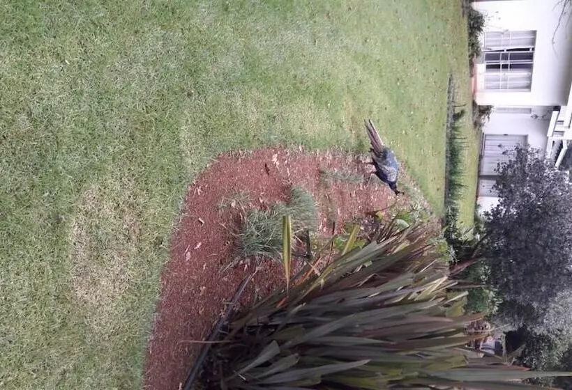 Hotelli Hoyo Hoyo Machadostud Lodge