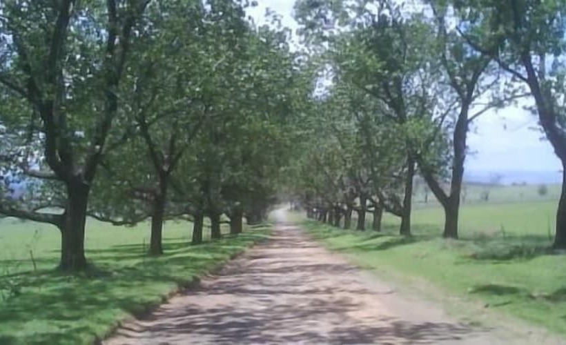 בית מלון כפרי Hoyo Hoyo Machadostud Lodge