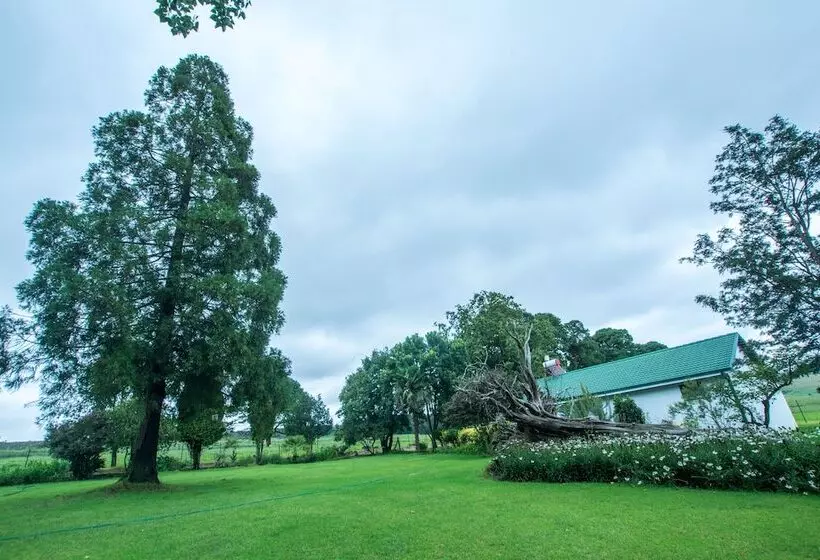 Hotelli Hoyo Hoyo Machadostud Lodge