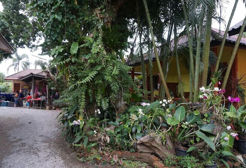 ホテル Nam Jhum Resort