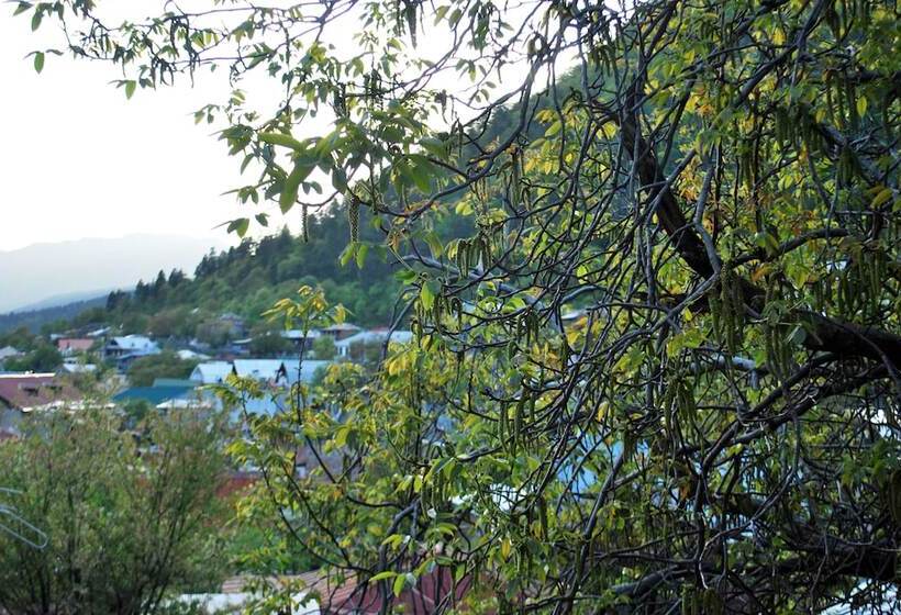Отель Old Borjomi