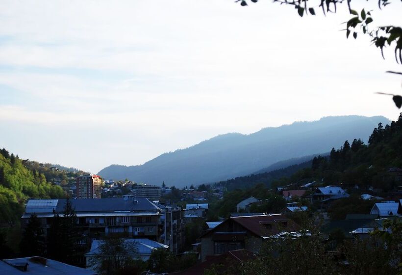 Отель Old Borjomi