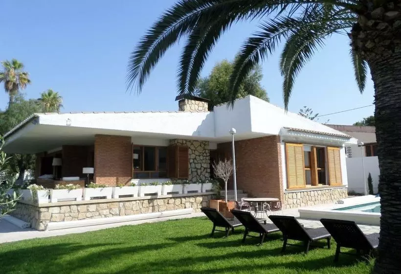 Olive Tree House
