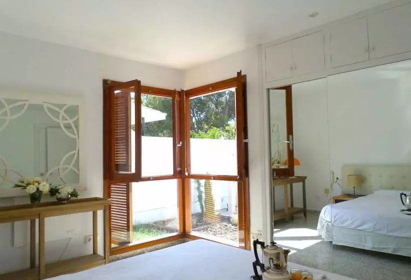 Olive Tree House