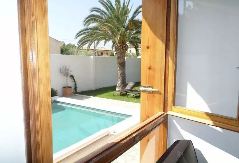 Olive Tree House