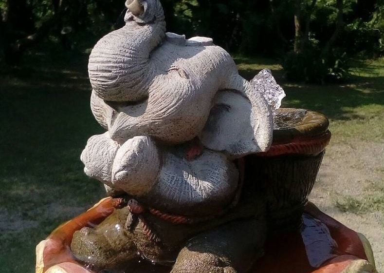 Dorado Boutique Resort