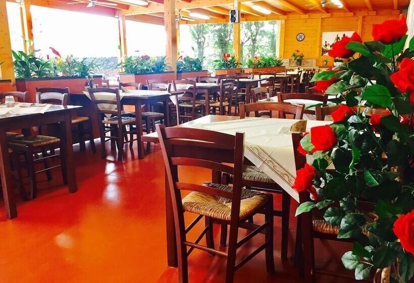 Hotel Camping Classe