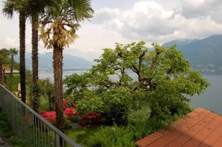 ホテル Casa Concerto