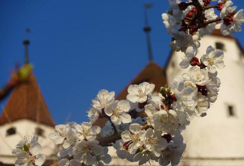 فندق Restaurant Schwert Thun