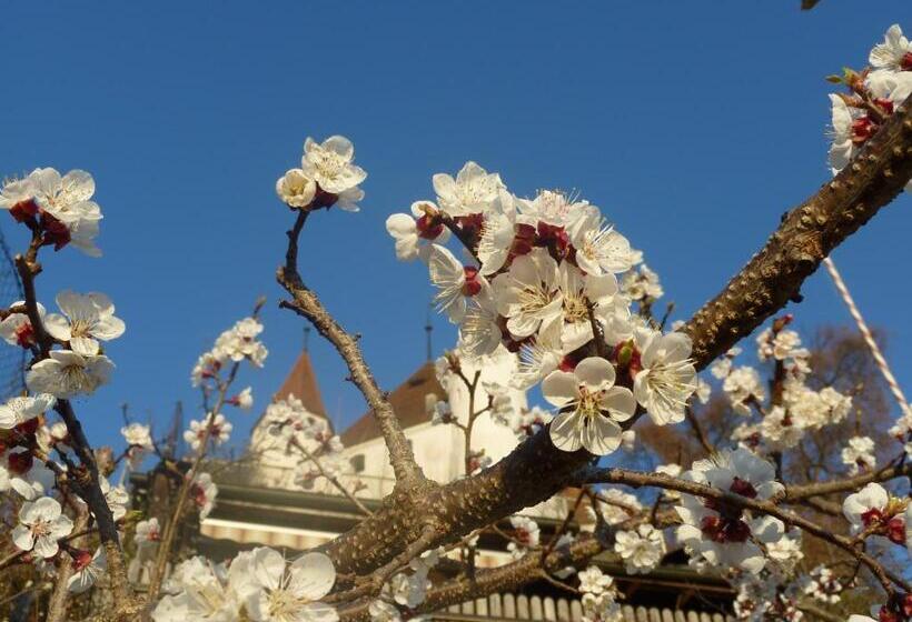 فندق Restaurant Schwert Thun