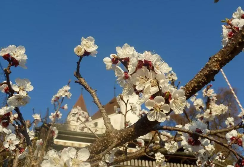 ホテル Restaurant Schwert Thun