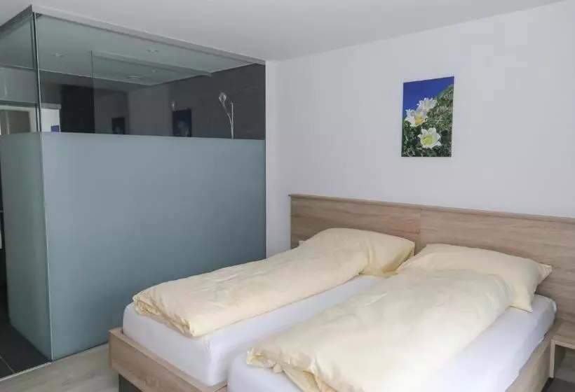 Hotelli Traube Garni