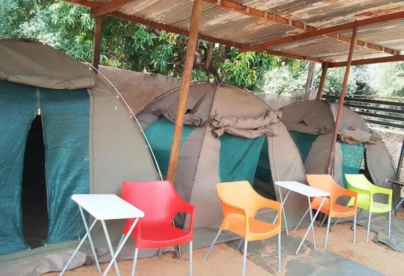 پانسیون African Inn