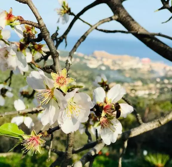 هتل L Auberge Sant Antone