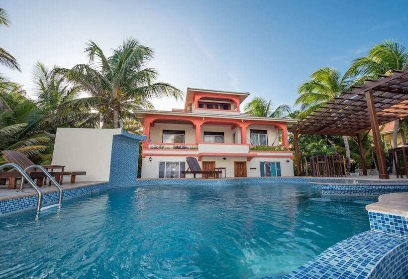 فندق Bella Vista Resort Belize