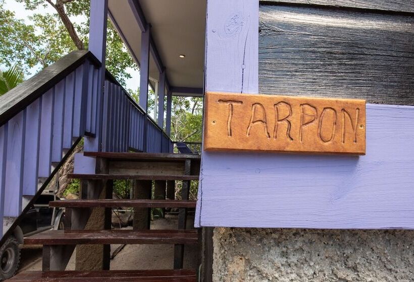 فندق Bella Vista Resort Belize