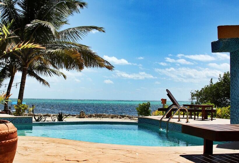 فندق Bella Vista Resort Belize