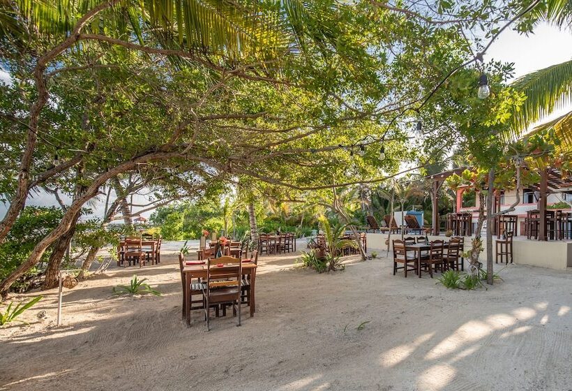 فندق Bella Vista Resort Belize