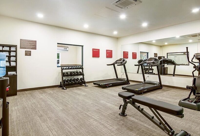 فندق Comfort Suites