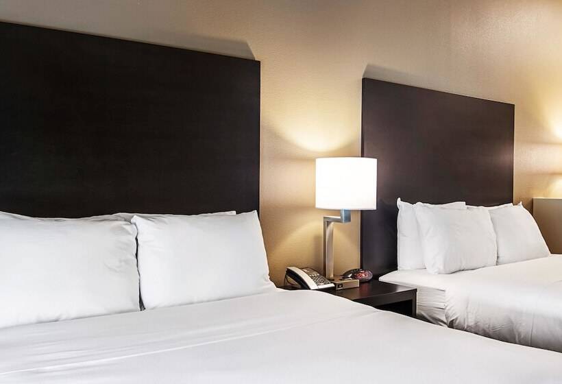 فندق Comfort Suites