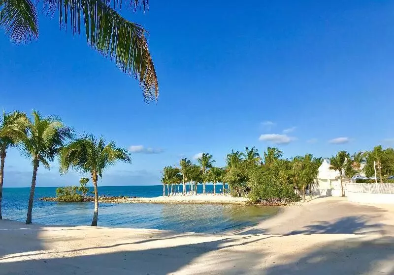 ホテル Isla Bella Beach Resort & Spa