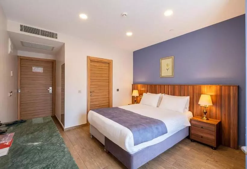 La Wisteria Boutique Hotel Istanbul