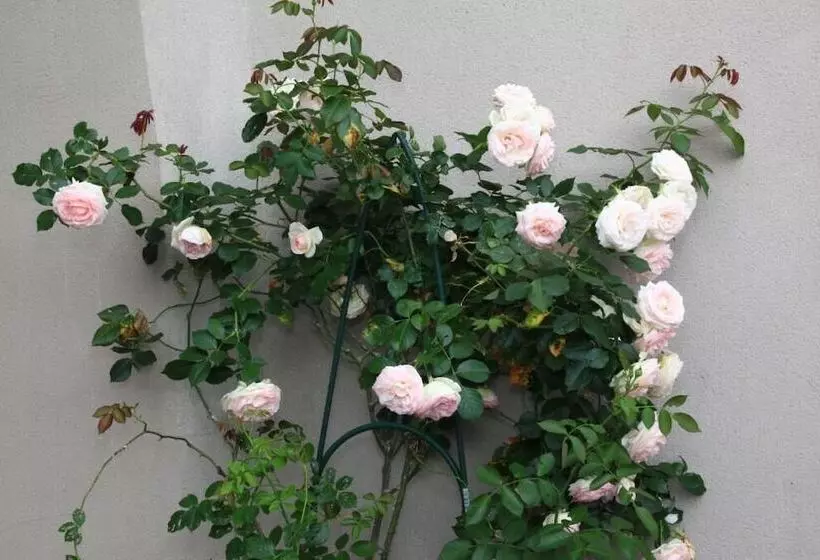 Logis Hotel Restaurant Le Relais D Aligre