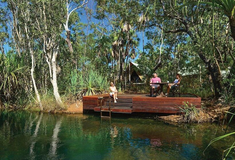 Отель Mitchell Falls Wilderness Lodge