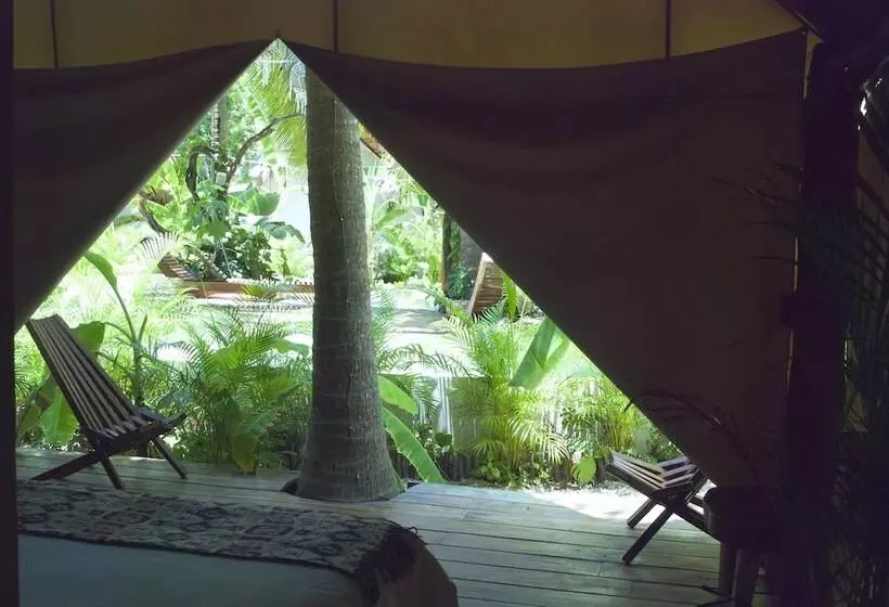 Hotelli Serena Tulum  Adults Only