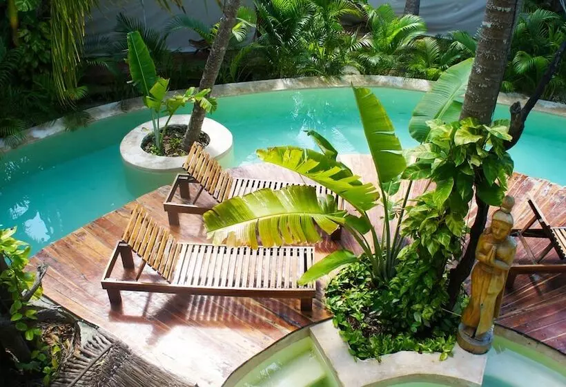 Hotelli Serena Tulum  Adults Only