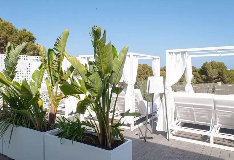 Sol I Vida Hotel   Adults Only