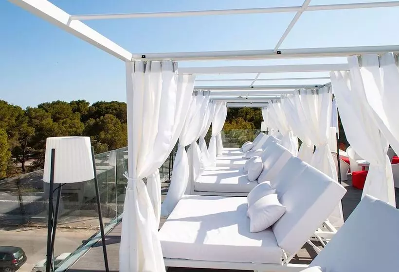 Sol I Vida Hotel   Adults Only