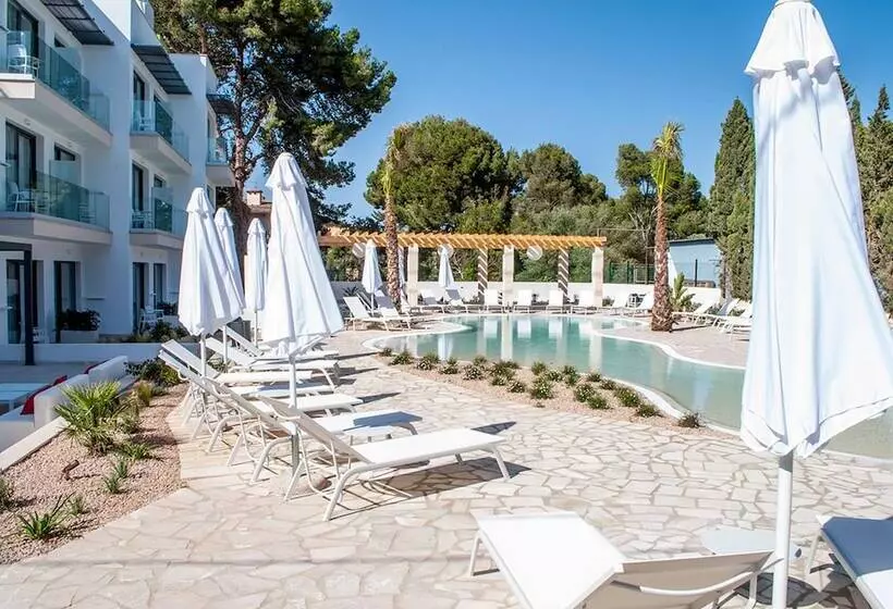 Sol I Vida Hotel   Adults Only