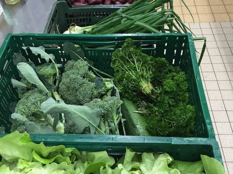 Landhotel Witte König