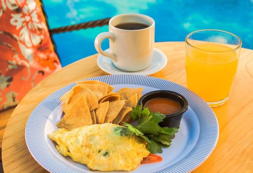 簡易ホテル Nomads Hotel & Rooftop Pool Cancun