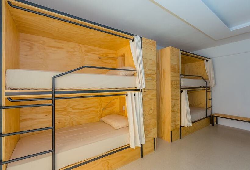 簡易ホテル Nomads Hotel & Rooftop Pool Cancun