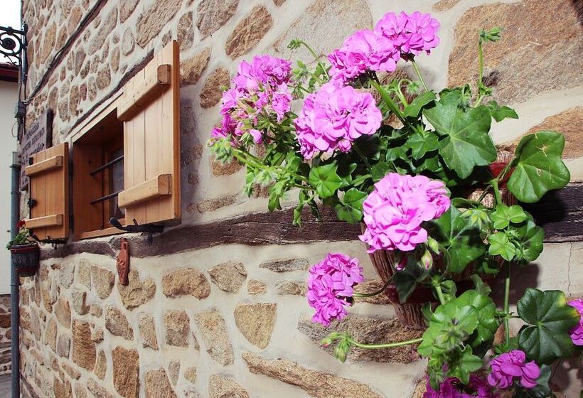 Pension (Hôtel basse catégorie) Aristotelis Traditional Guest House