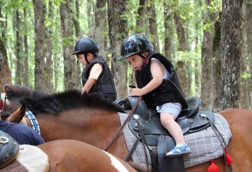 Pension (Hôtel basse catégorie) Aristotelis Traditional Guest House