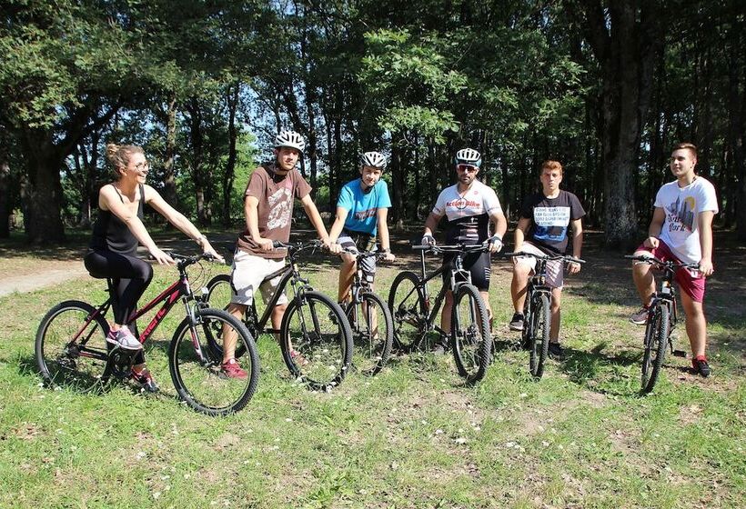 Pension (Hôtel basse catégorie) Aristotelis Traditional Guest House