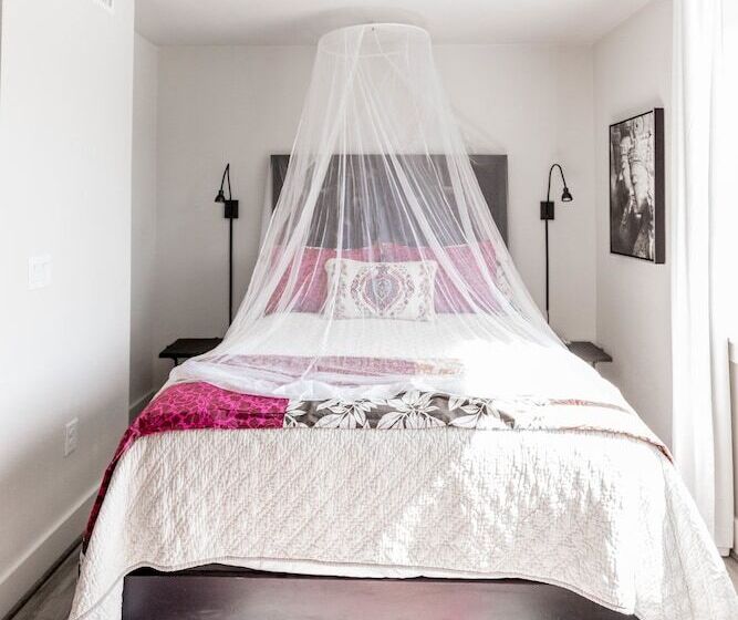 The Bishop Arts Hotel By Qresorts