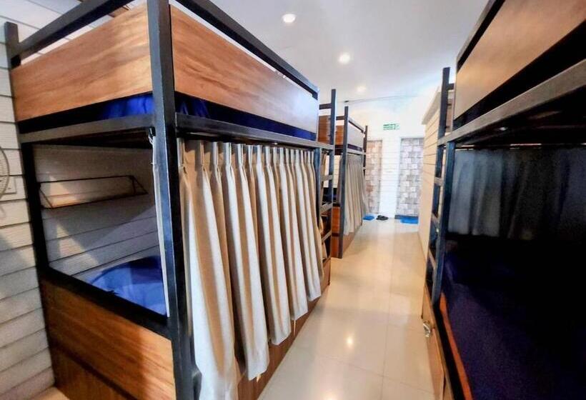 فندق صغير Back Home Backpackers