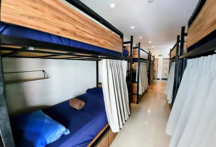 ユースホステル Back Home Backpackers