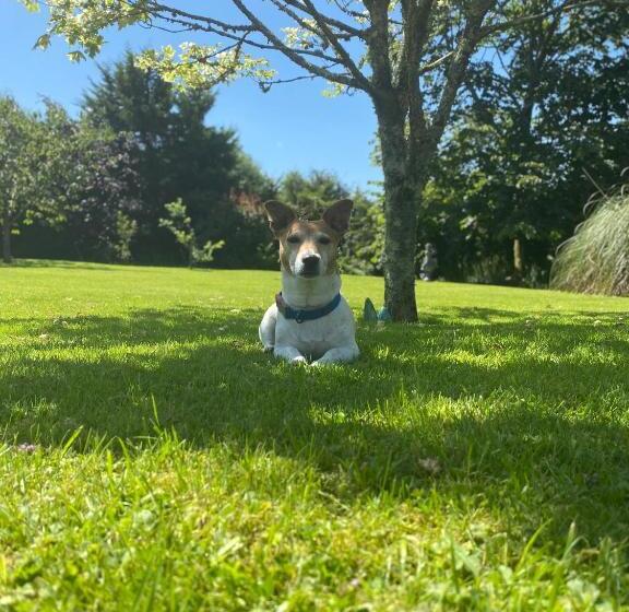 Bed and Breakfast Applecroft House