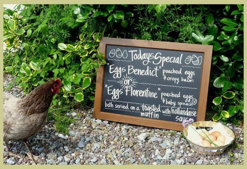 Bed and Breakfast Applecroft House