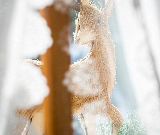 ベッドアンドブレックファースト Baita Luleta